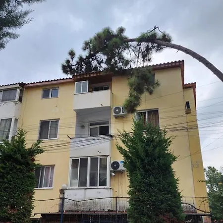 Of Maks Golem Golem (Tirana)