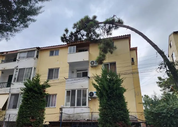 Of Maks Durres,albania Golem (Tirana)